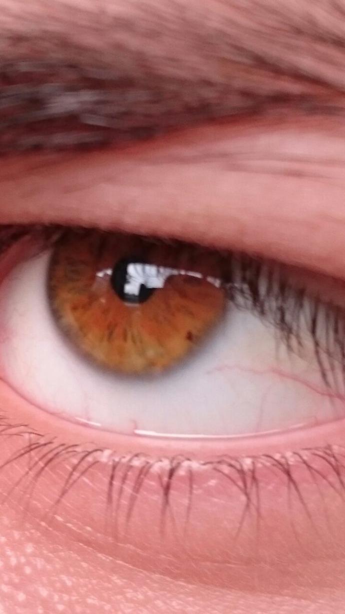 Kehribar (Amber) Göz Rengi - KizlarSoruyor