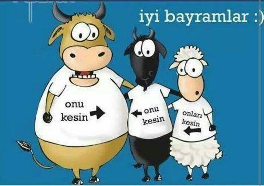 Kurban Bayramı Öncesi Hatırlanması Gereken Hususlar