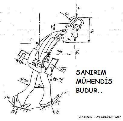 Mühendis ADAM Neden Yalnızdır?