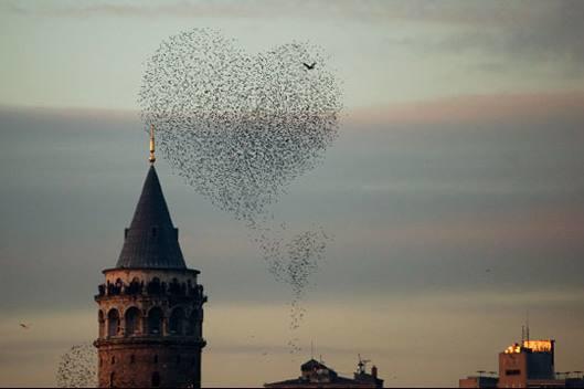 İlk buluşma ile ilgili Erkeklere tüyolar...