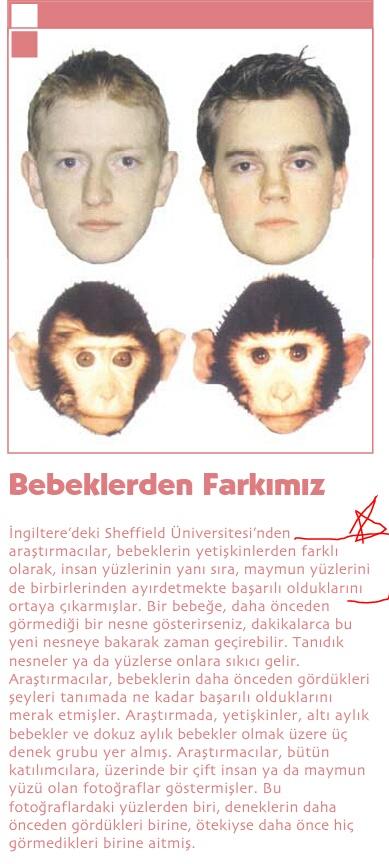 Türkiye Evrimin Ne Olduğunu Bilmeden Kabul Etmeyen Nadir Ülkelerden