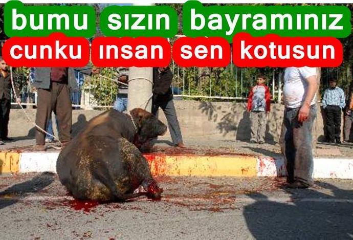 Katletme, Paylaş!
