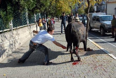 KATLETME, PAYLAŞ !