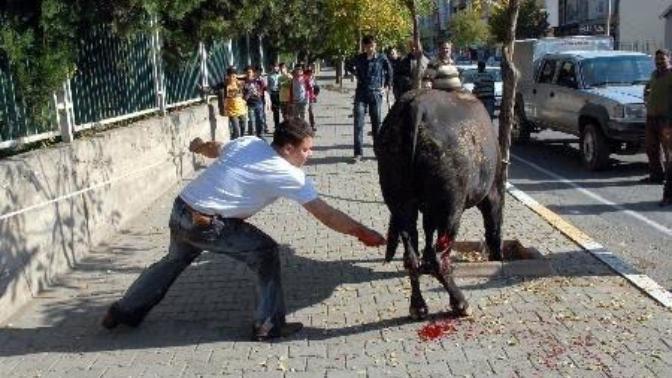 Katletme, Paylaş!