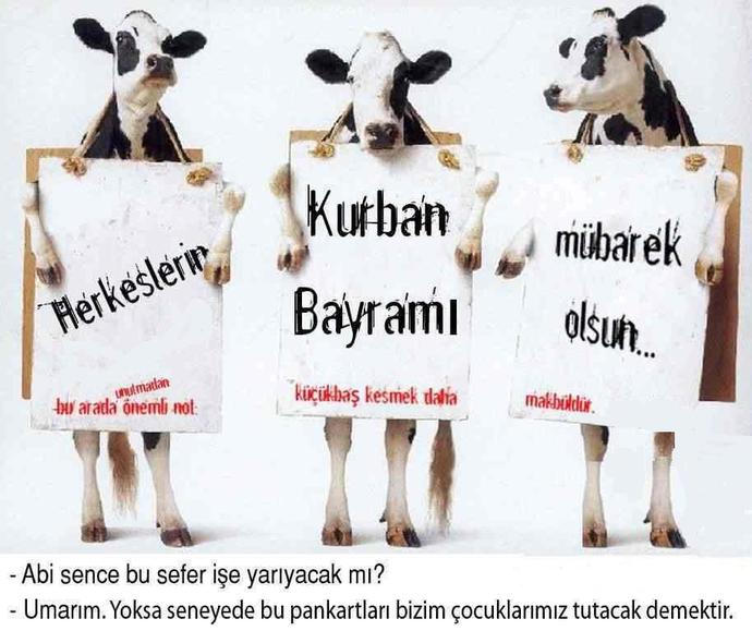 Kurban Bayramı Klişeleri