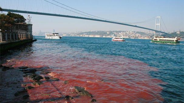Kurban Bayramı Klişeleri