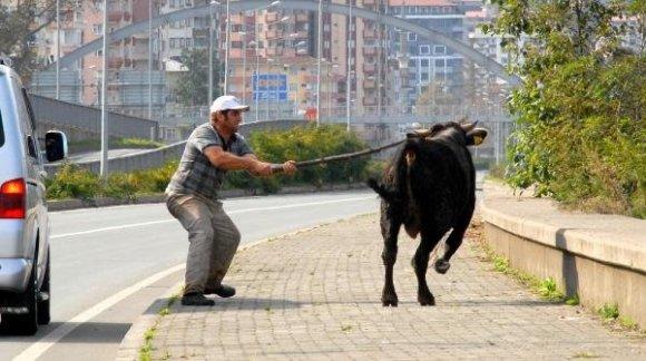 Kurban Bayramı Klişeleri