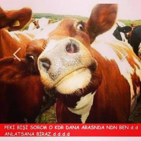 Kurban Bayramı Klişeleri