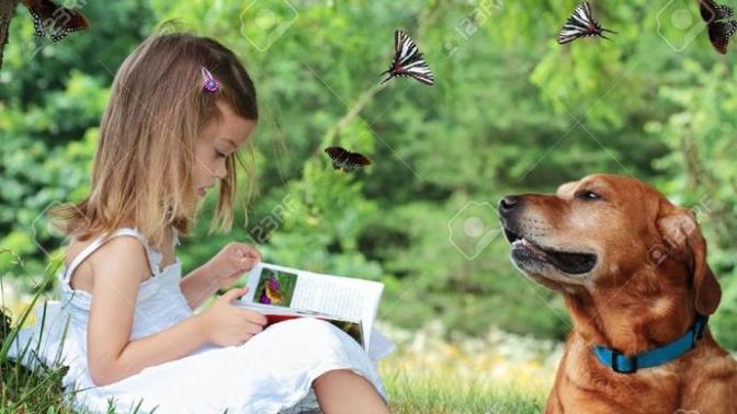 En İyi Arkadaşınız Kim: Kitap mı, Köpek mi, Ağaç mı?