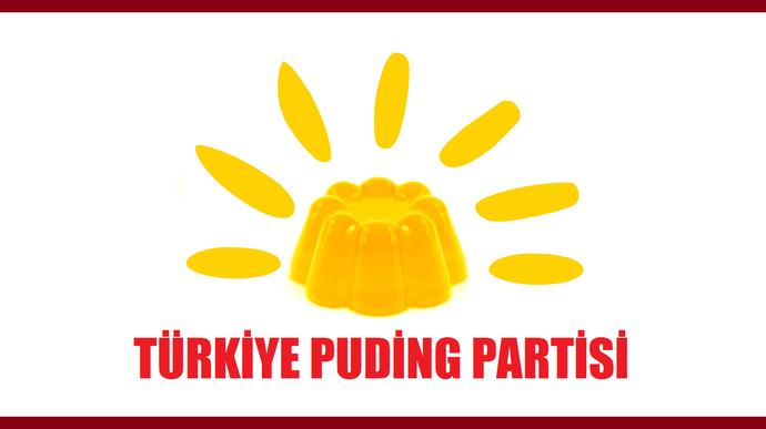 TPP (Türkiye Puding Partisi) Seçimlere Girerse