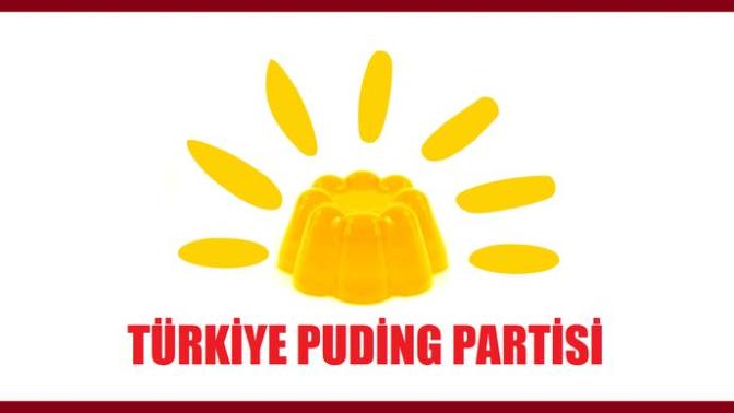 TPP (Türkiye Puding Partisi) Seçimlere Girerse