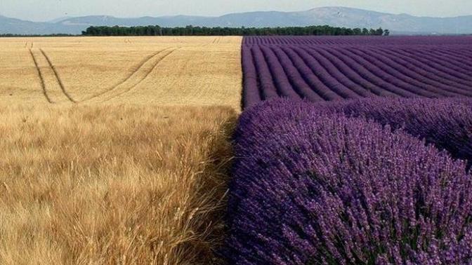 Büyüleyici Fotoğraflar