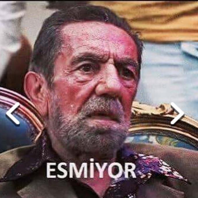 6 Madde ile 2015 Yazının Özeti
