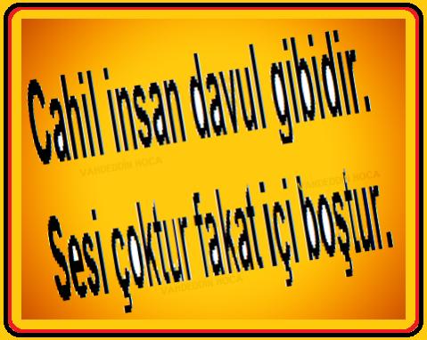 Bu sitede kısaca dikkat etmemiz gereken 3 üye tipi?