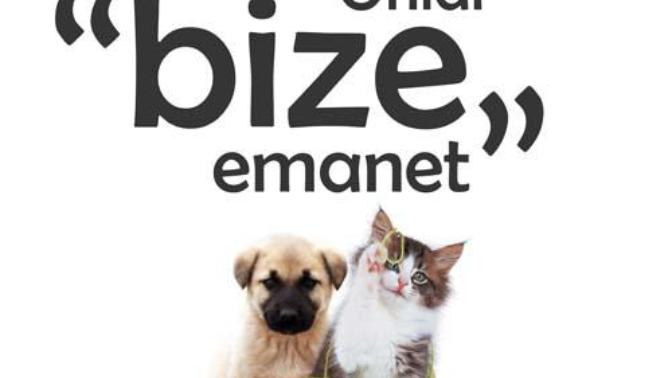 4 Ekim Dünya Hayvanları Koruma Günü