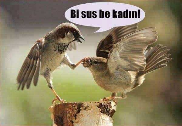 Evlenmeye karar vermeden önce mutlaka okuyun!