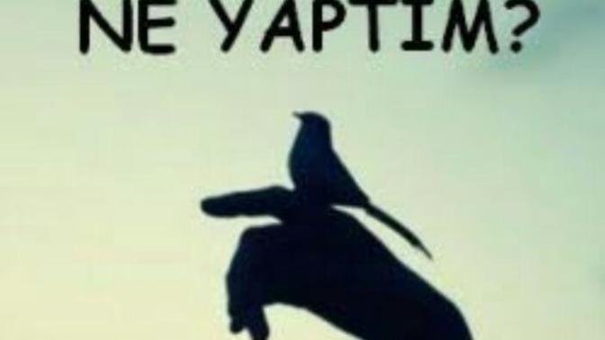 "Ben Sana Ne Yaptım ki?" Dediklerimiz...