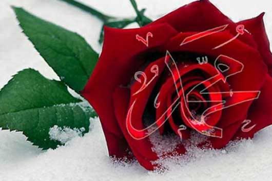 Hz. Muhammed'i Seviyoruz Çünkü..
