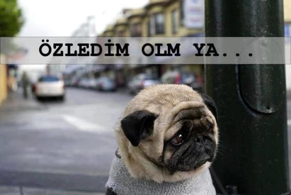 Eski Sevgiliye Neden Mesaj Atılır ?