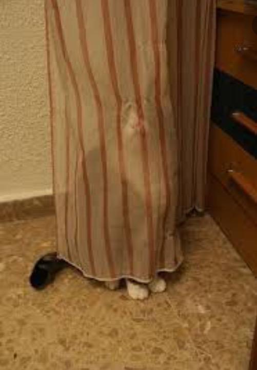 Bir Kızlarsoruyor. com Kullanıcısı Neden Gizli Kullanıcı Olur