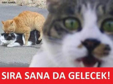 Erkeklerin Seks'ten En Büyük Beklentileri