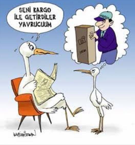 Cinsellik Ne Zaman Öğrenilmeli?