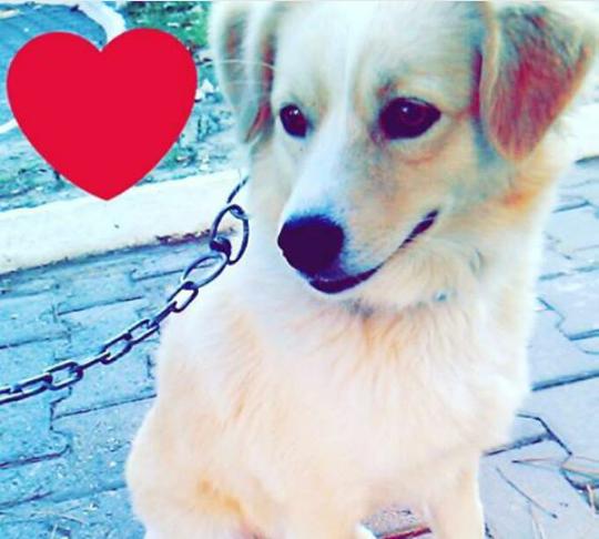 Lütfen onlara sahip çıkın!