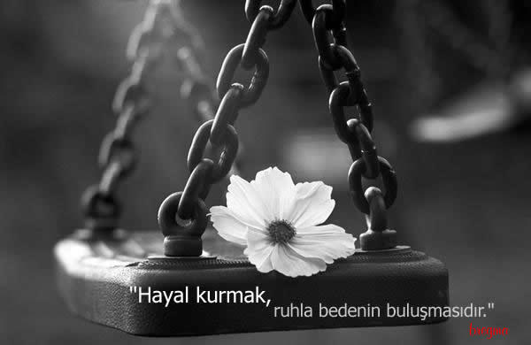Hayallerinizin Peşinden Gidin!