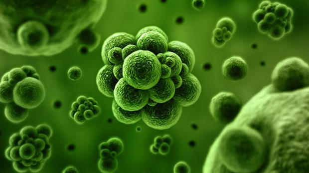 Kadınlarda Genital Enfeksiyonlar