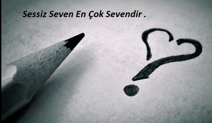 Sessiz Sevmek Nasıl Bir Şeydir?