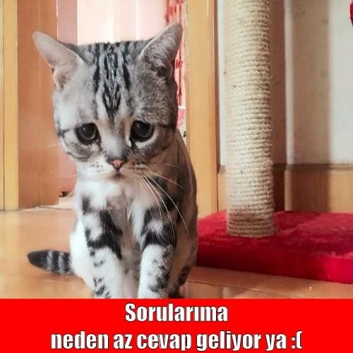 Kızlar soruyor'da hayat kurtaracak bir kaç ipucu
