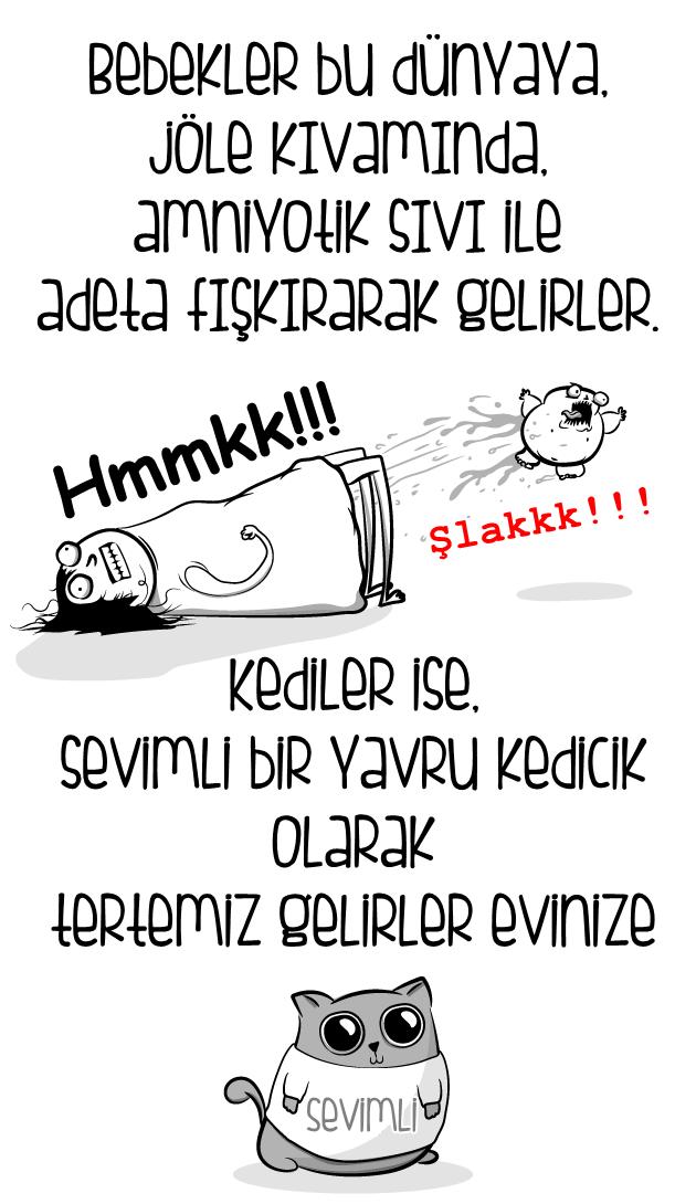 Kedi mi Yoksa Bebek Sahibi Olmak mı?