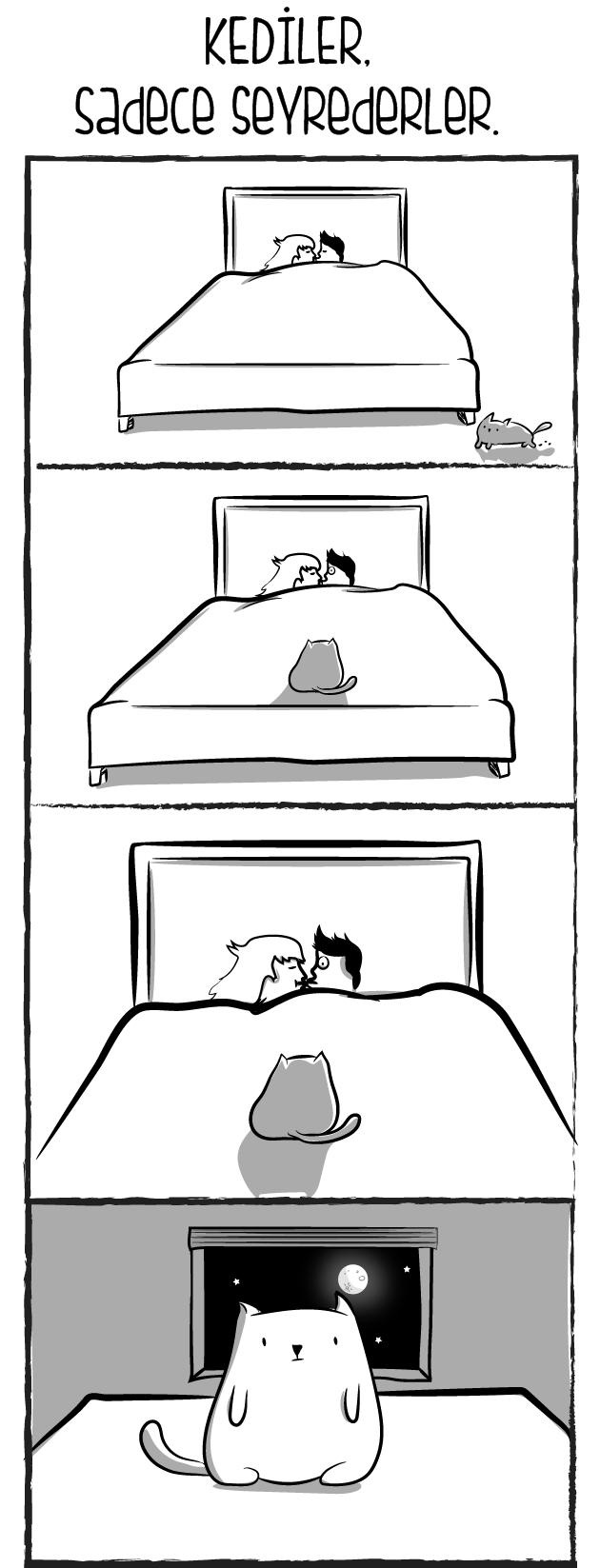 Kedi mi Yoksa Bebek Sahibi Olmak mı?
