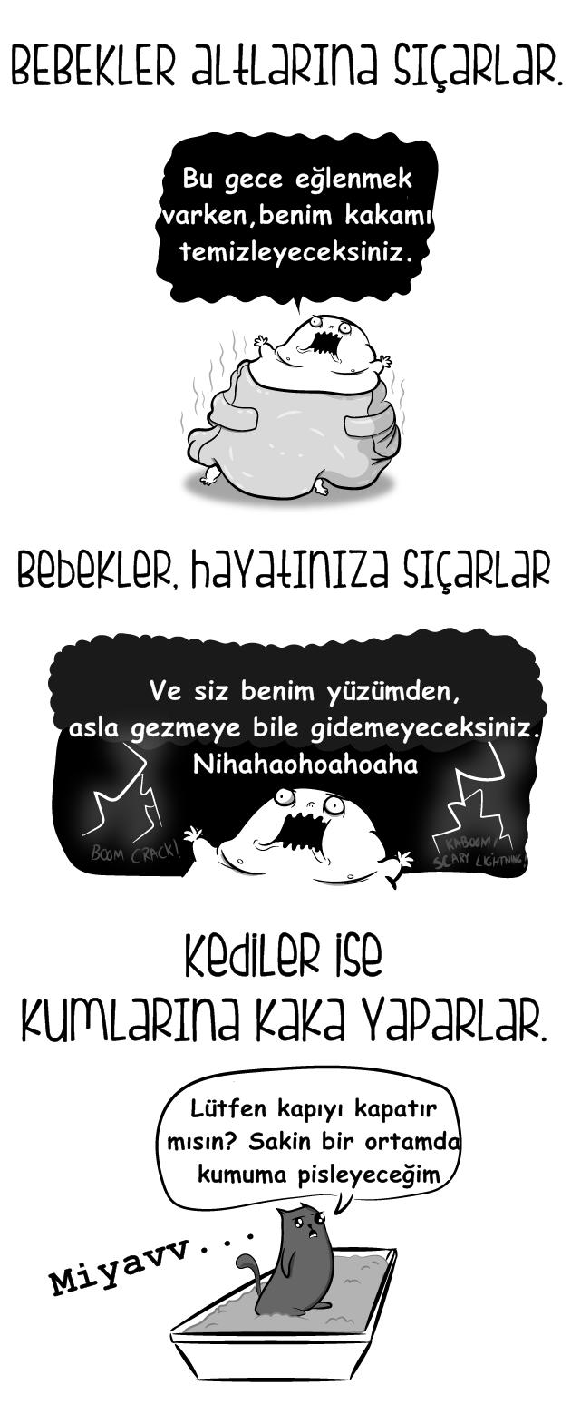 Kedi mi Yoksa Bebek Sahibi Olmak mı?