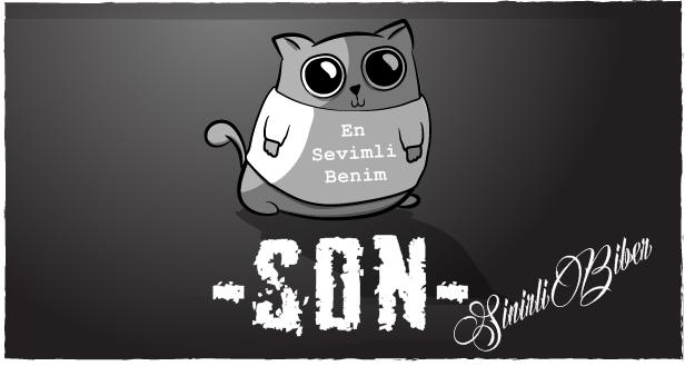 Kedi mi Yoksa Bebek Sahibi Olmak mı?