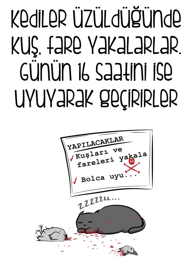 Kedi mi Yoksa Bebek Sahibi Olmak mı?