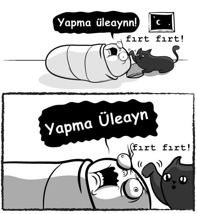 Kedi mi Yoksa Bebek Sahibi Olmak mı?
