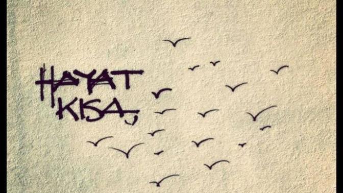 Sana hayat nedir anlatmak istiyorum