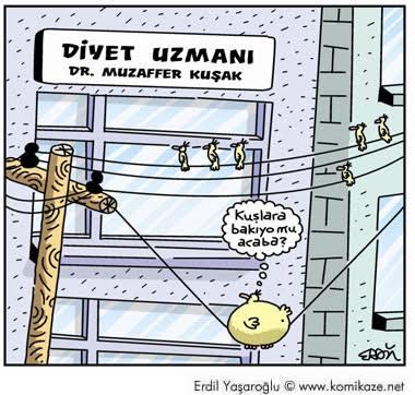 Bu Bir Başarıdır! Yeni Ben, Yeni Beden!
