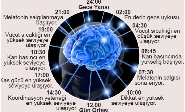 Sağlıklı Yaşam İçin Kaliteli Uykunun Önemi