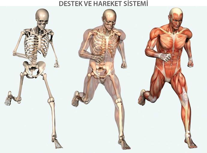 Sağlıklı Yaşam İçin Kaliteli Uykunun Önemi