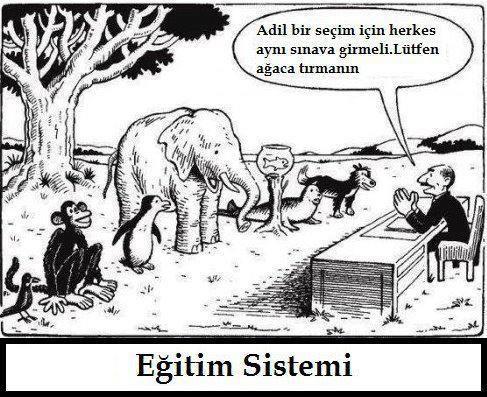 Türkiye'de Yaşamamam İçin Söyleyebileceğim 6 Nedenim