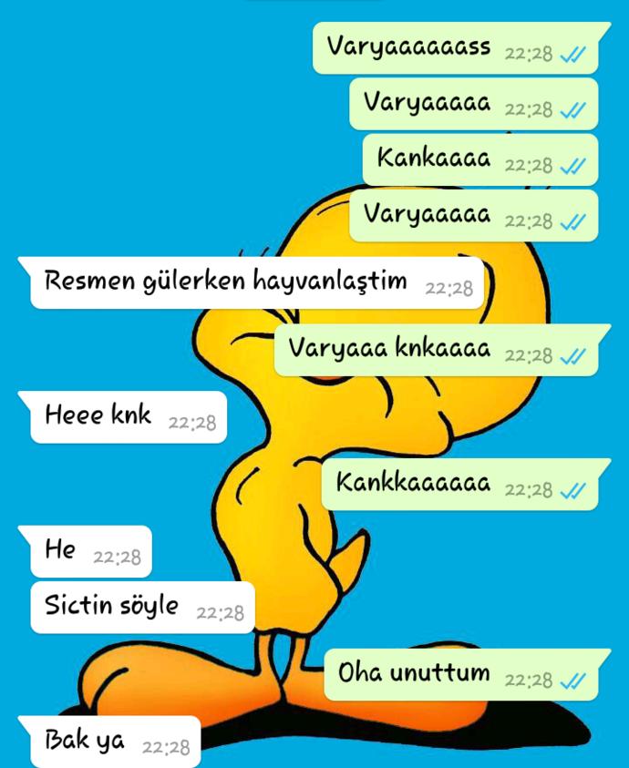 #beren18 'in whatsapp diyaloğu