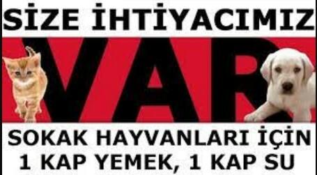 Bir Yudum Su Demek Bir Can Demek