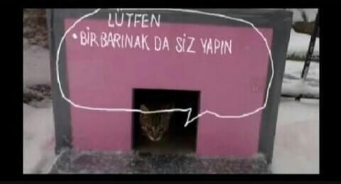Bir Yudum Su Demek Bir Can Demek