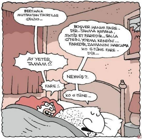 "Bekarlık Neden Sultanlıktır?" Sorusunun Cevabı 10 Madde