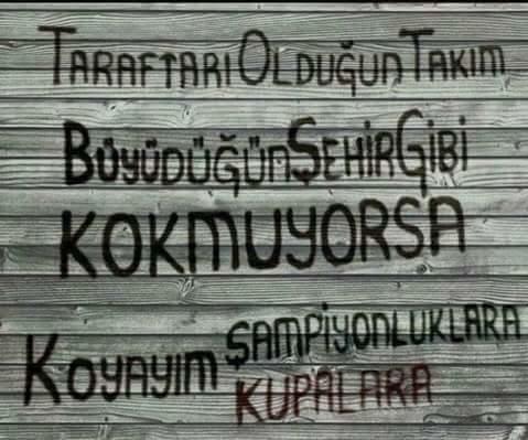 Anadolu Takımı Tutmak