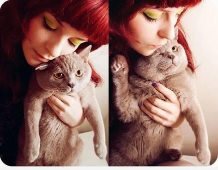 Bir Kedi ile Yaşamak