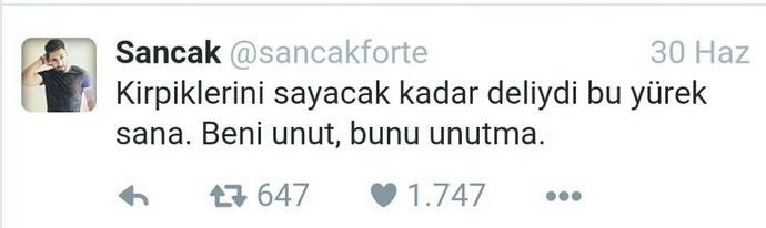 En İyi 5 'Sancak' Şarkısı