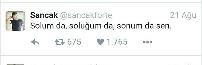 En İyi 5 'Sancak' Şarkısı